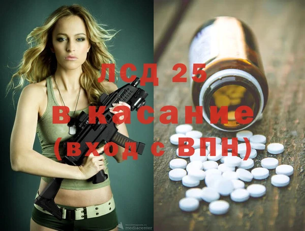 ГАЛЛЮЦИНОГЕННЫЕ ГРИБЫ Алзамай
