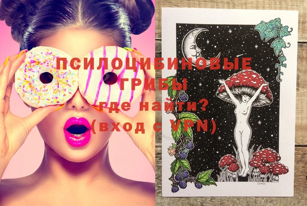 ГАЛЛЮЦИНОГЕННЫЕ ГРИБЫ Алзамай
