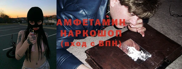 молекула духа Алексеевка